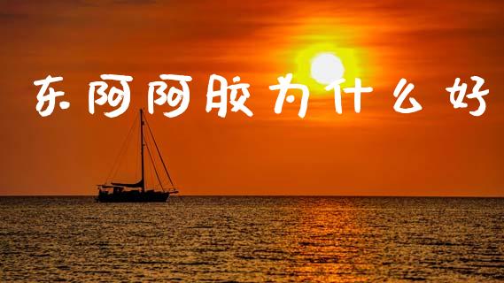 东阿阿胶为什么好_https://wap.15771688.com_期货手续费一览表_第1张