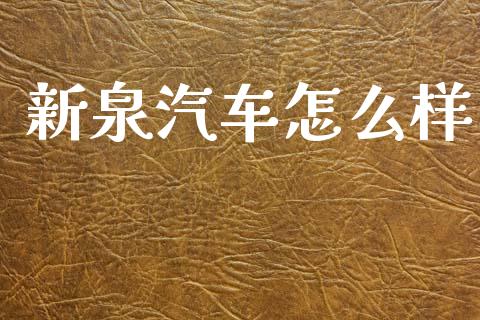 新泉汽车怎么样_https://wap.15771688.com_期货手续费一览表_第1张