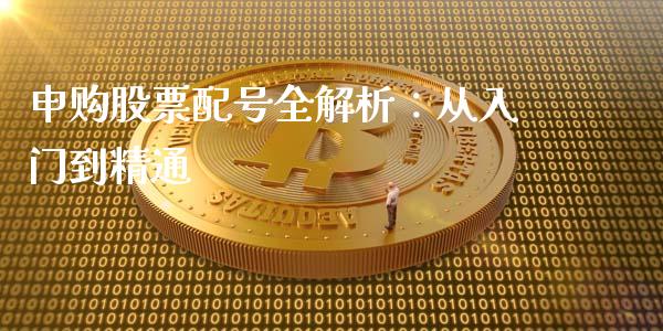 申购股票配号全解析：从入门到精通_https://wap.15771688.com_道指期货_第1张