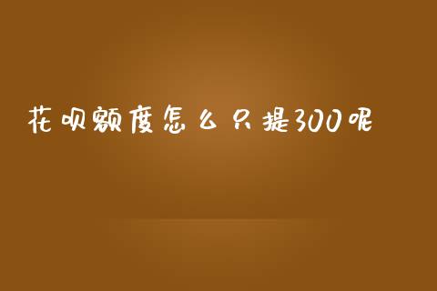 花呗额度怎么只提300呢_https://wap.15771688.com_原油期货直播室_第1张