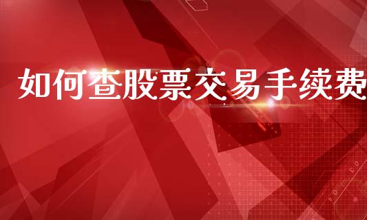 如何查股票交易手续费_https://wap.15771688.com_道指期货_第1张