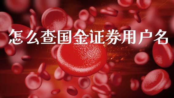 怎么查国金证券用户名_https://wap.15771688.com_期货手续费一览表_第1张