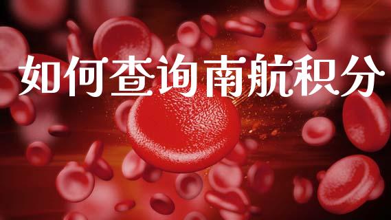如何查询南航积分_https://wap.15771688.com_期货手续费一览表_第1张