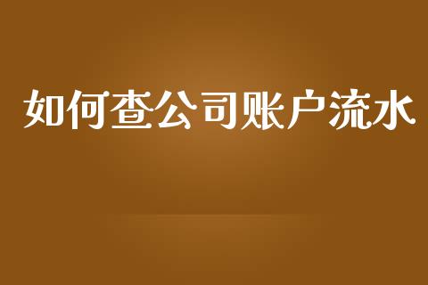 如何查公司账户流水_https://wap.15771688.com_原油期货直播室_第1张