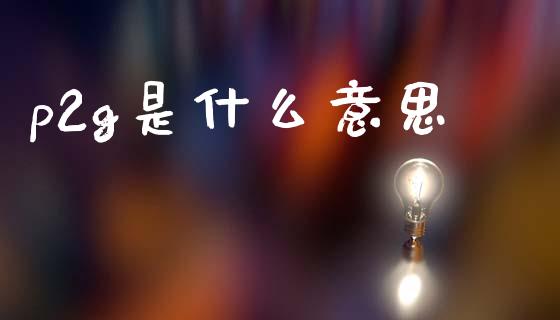 p2g是什么意思_https://wap.15771688.com_期货手续费一览表_第1张