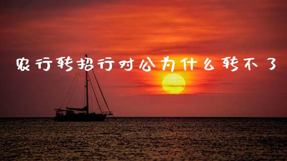 农行转招行对公为什么转不了_https://wap.15771688.com_道指期货_第1张