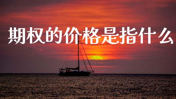 期权的价格是指什么_https://wap.15771688.com_道指期货_第1张