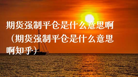 期货强制平仓是什么意思啊（期货强制平仓是什么意思啊知乎）_https://wap.15771688.com_期货手续费一览表_第1张
