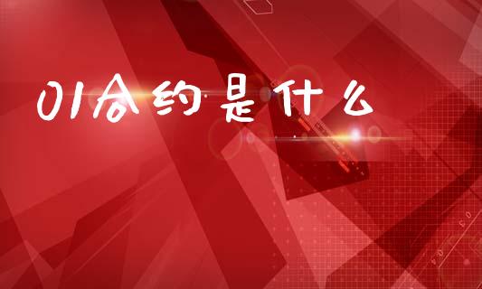 01合约是什么_https://wap.15771688.com_国际期货_第1张