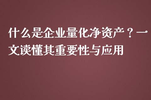什么是企业量化净资产？一文读懂其重要性与应用_https://wap.15771688.com_原油期货直播室_第1张