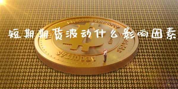 短期期货波动什么影响因素_国际期货_第1张_原油期货直播室_道指期_期货手续费一览表_国际期货 短期期货波动什么影响因素_https://wap.15771688.com_国际期货_第1张