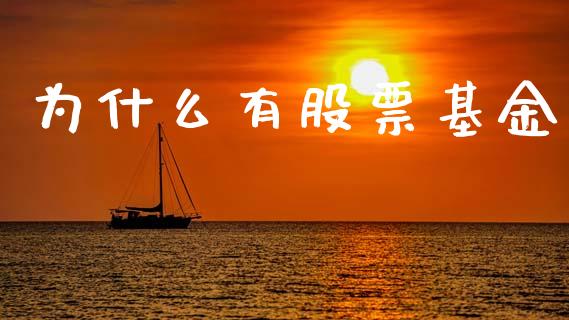 为什么有股票基金_https://wap.15771688.com_期货手续费一览表_第1张