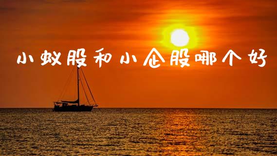 小蚁股和小企股哪个好_https://wap.15771688.com_期货手续费一览表_第1张
