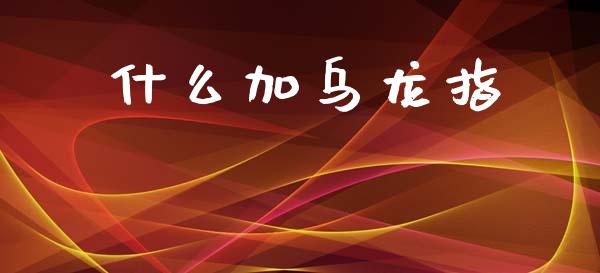什么加乌龙指_https://wap.15771688.com_原油期货直播室_第1张