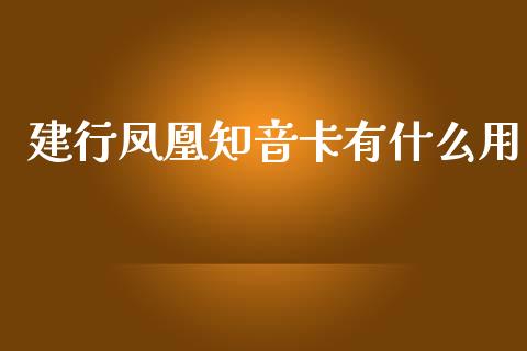 建行凤凰知音卡有什么用_https://wap.15771688.com_原油期货直播室_第1张