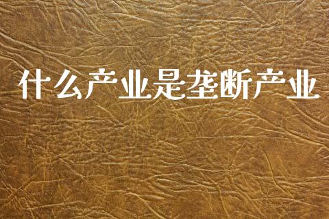 什么产业是垄断产业_https://wap.15771688.com_期货手续费一览表_第1张