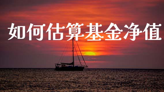 如何估算基金净值_https://wap.15771688.com_原油期货直播室_第1张