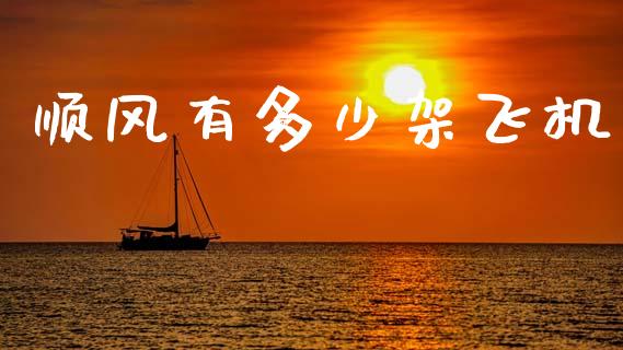 顺风有多少架飞机_https://wap.15771688.com_道指期货_第1张