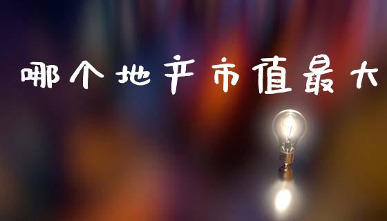 哪个地产市值最大_https://wap.15771688.com_国际期货_第1张