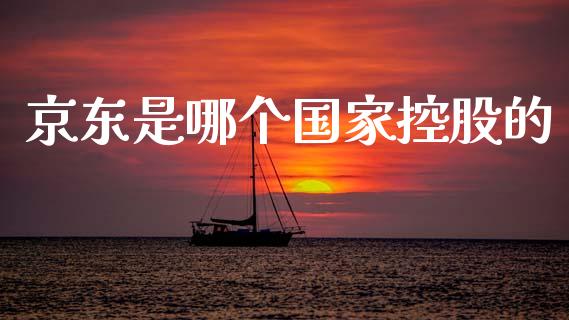 京东是哪个国家控股的_https://wap.15771688.com_国际期货_第1张