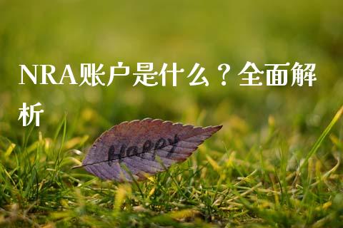 NRA账户是什么?全面解析_期货手续费一览表_第1张_原油期货直播室_道指期_期货手续费一览表_国际期货 NRA账户是什么?全面解析_https://wap.15771688.com_期货手续费一览表_第1张