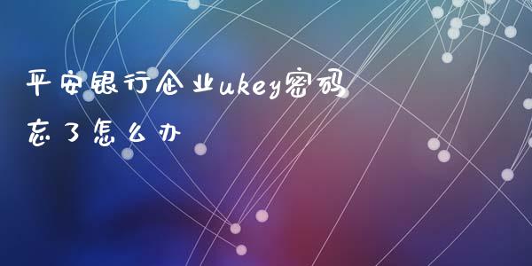 平安银行企业ukey密码忘了怎么办_https://wap.15771688.com_道指期货_第1张