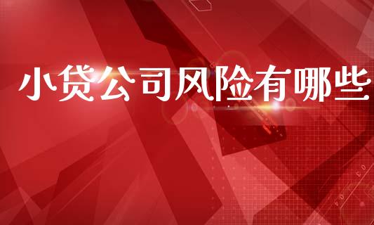 小贷公司风险有哪些_https://wap.15771688.com_道指期货_第1张