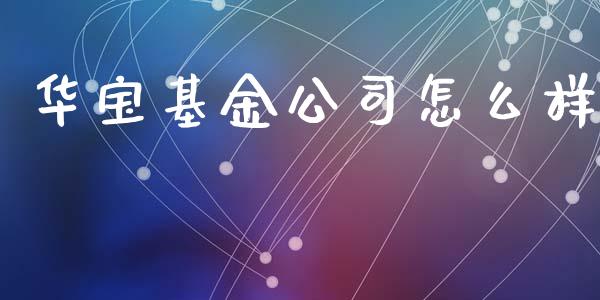 华宝基金公司怎么样_https://wap.15771688.com_期货手续费一览表_第1张