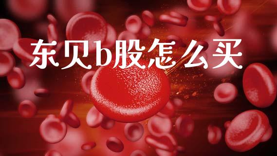 东贝b股怎么买_https://wap.15771688.com_原油期货直播室_第1张