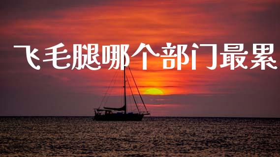 飞毛腿哪个部门最累_https://wap.15771688.com_国际期货_第1张