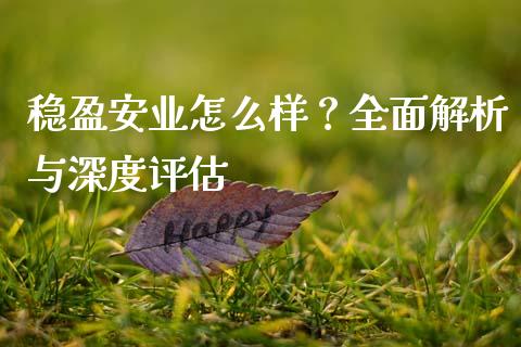 稳盈安业怎么样？全面解析与深度评估_https://wap.15771688.com_原油期货直播室_第1张