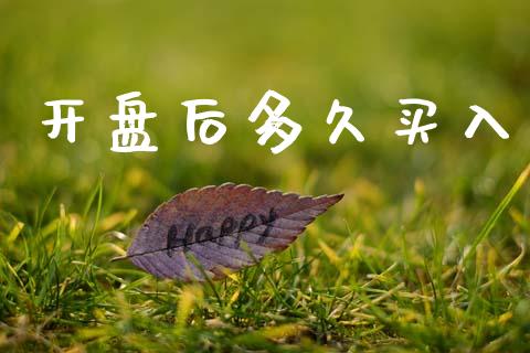 开盘后多久买入_https://wap.15771688.com_期货手续费一览表_第1张
