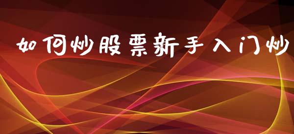 如何炒股票新手入门炒_https://wap.15771688.com_原油期货直播室_第1张
