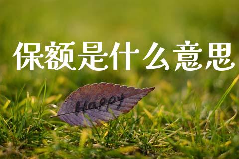 保额是什么意思_https://wap.15771688.com_道指期货_第1张