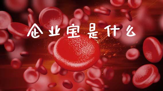 企业宝是什么_https://wap.15771688.com_原油期货直播室_第1张