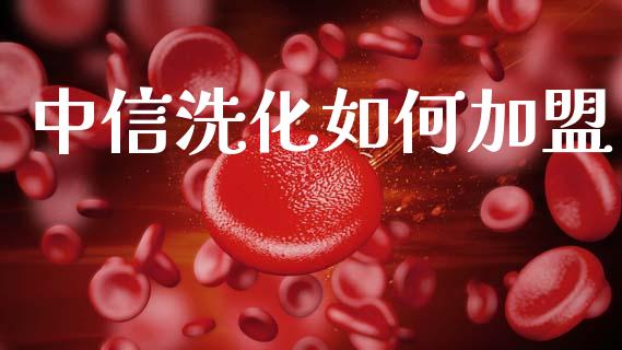 中信洗化如何加盟_https://wap.15771688.com_原油期货直播室_第1张