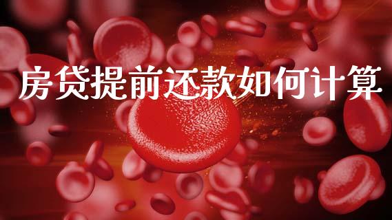 房贷提前还款如何计算_https://wap.15771688.com_道指期货_第1张