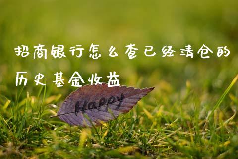招商银行怎么查已经清仓的历史基金收益_https://wap.15771688.com_道指期货_第1张