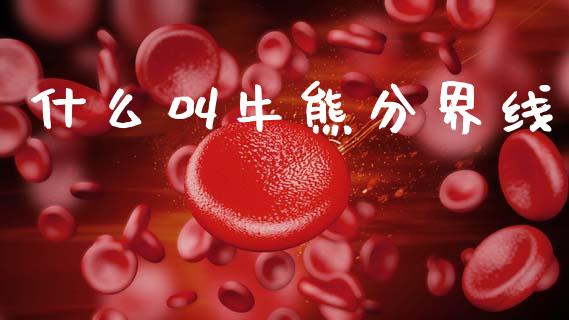 什么叫牛熊分界线_https://wap.15771688.com_期货手续费一览表_第1张