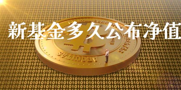 新基金多久公布净值_https://wap.15771688.com_原油期货直播室_第1张