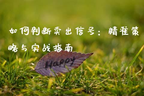 如何判断卖出信号：精准策略与实战指南_https://wap.15771688.com_道指期货_第1张