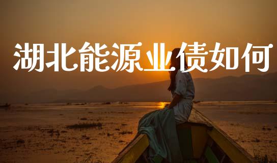 湖北能源业债如何_https://wap.15771688.com_期货手续费一览表_第1张