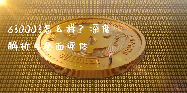 630003怎么样？深度解析与全面评估_https://wap.15771688.com_原油期货直播室_第1张