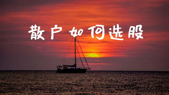 散户如何选股_https://wap.15771688.com_国际期货_第1张
