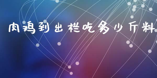 肉鸡到出栏吃多少斤料_https://wap.15771688.com_期货手续费一览表_第1张