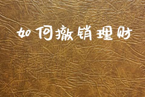 如何撤销理财_https://wap.15771688.com_道指期货_第1张