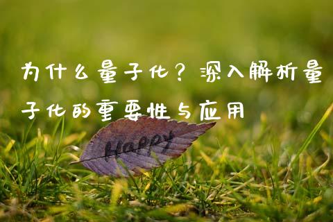 为什么量子化？深入解析量子化的重要性与应用_https://wap.15771688.com_原油期货直播室_第1张