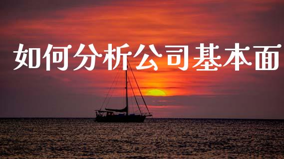 如何分析公司基本面_https://wap.15771688.com_原油期货直播室_第1张