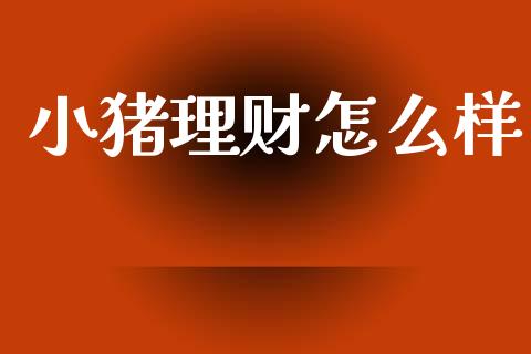 小猪理财怎么样_https://wap.15771688.com_期货手续费一览表_第1张