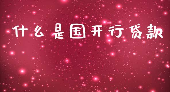 什么是国开行贷款_https://wap.15771688.com_期货手续费一览表_第1张
